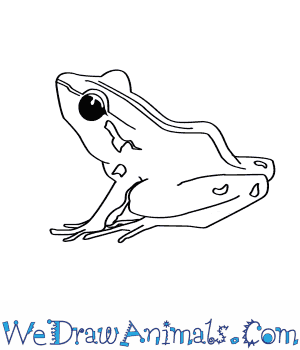 300x350 How To Draw A Bob's Robber Frog - Robber Drawing