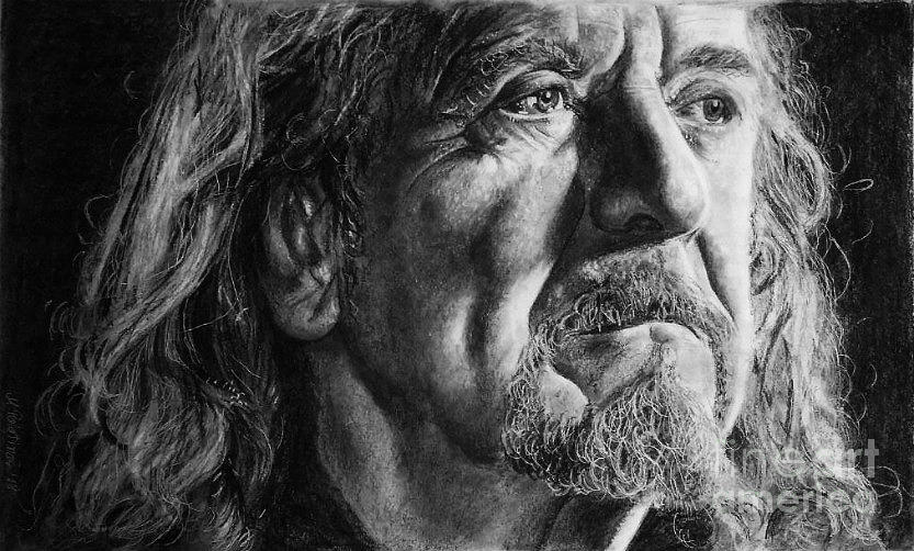833x502 Robert Plant Drawing - Robert Plant Drawing