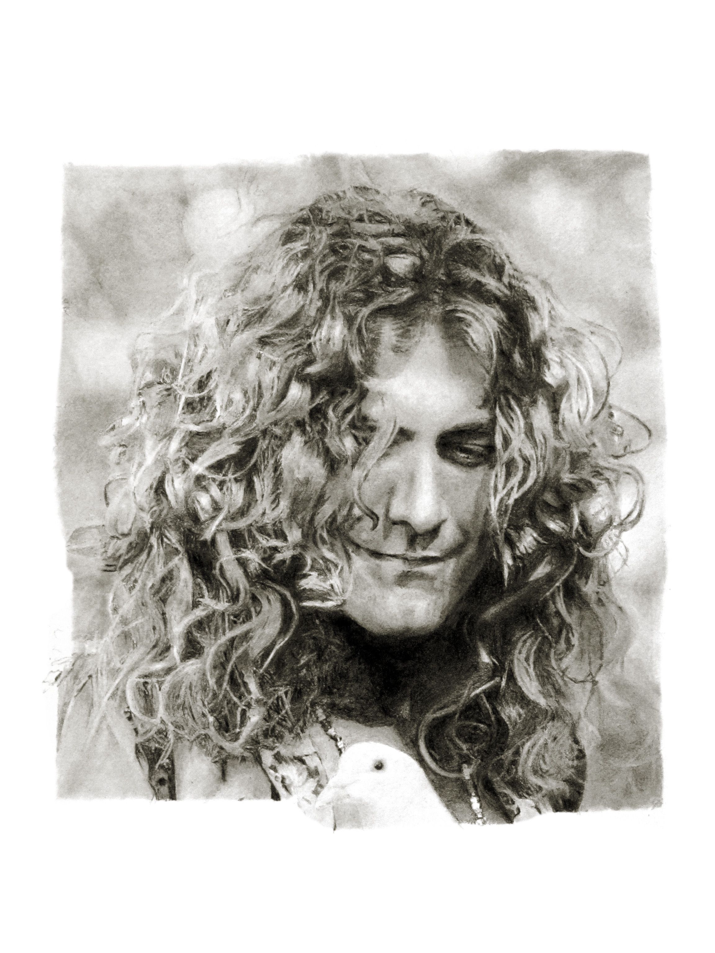 2304x3072 This Is A Pencil Drawing Of Robert Plant I Am Working On I Will - Robert Plant Drawing