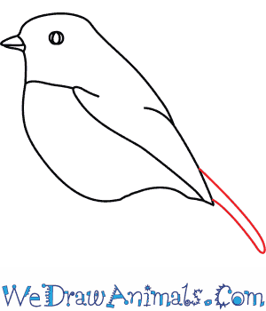 300x350 How To Draw A Robin - Robin Bird Drawing