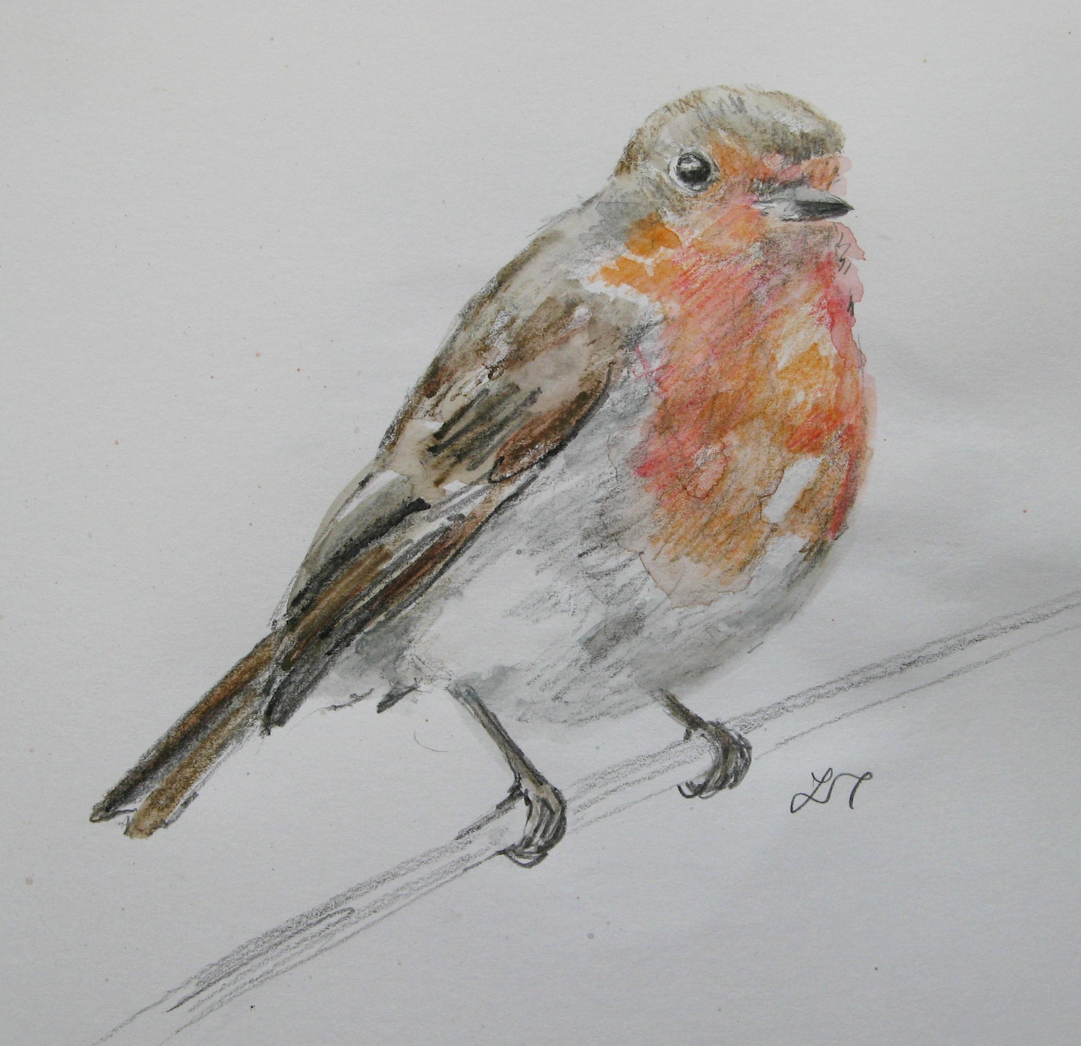2104x2037 Robin Drawings Agnesandcora - Robin Bird Drawing