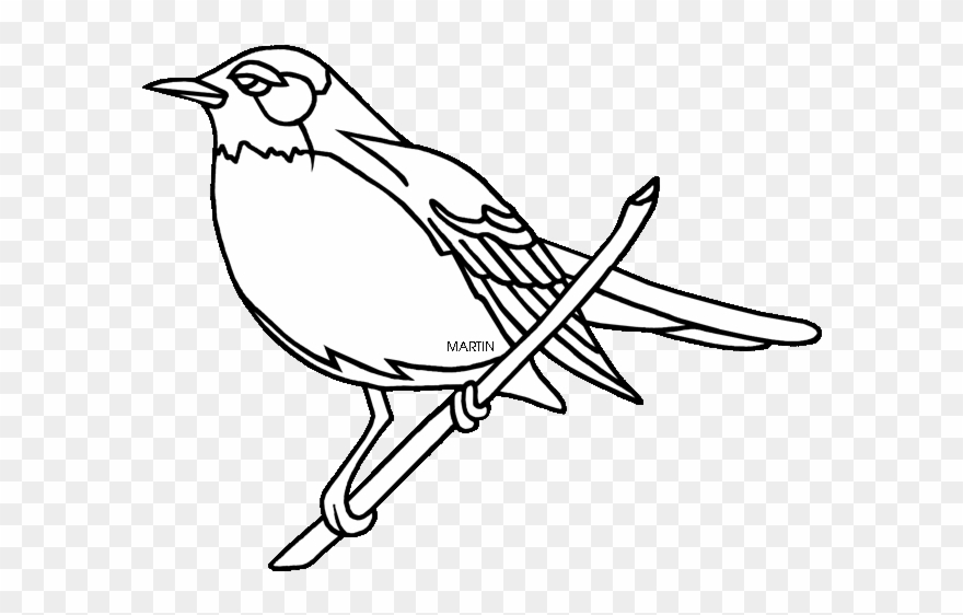 880x562 Download American Robin Clipart - Robin Bird Drawing