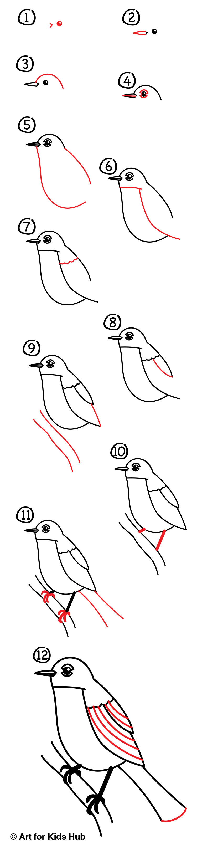 750x3234 How To Draw A Robin Bird - Robin Bird Drawing