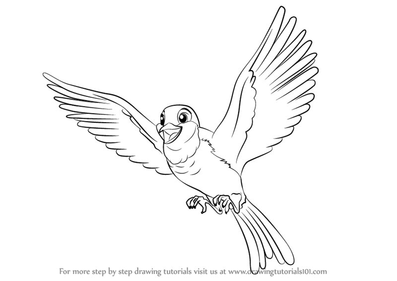 800x566 Learn How To Draw Robin From Sofia The First - Robin Drawing