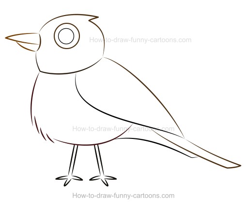 510x420 How To Draw A Cartoon Robin - Robin Drawing
