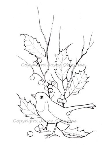 377x500 christmas clip art english robin, twigs, berries and holly you - Robin Outline Drawing