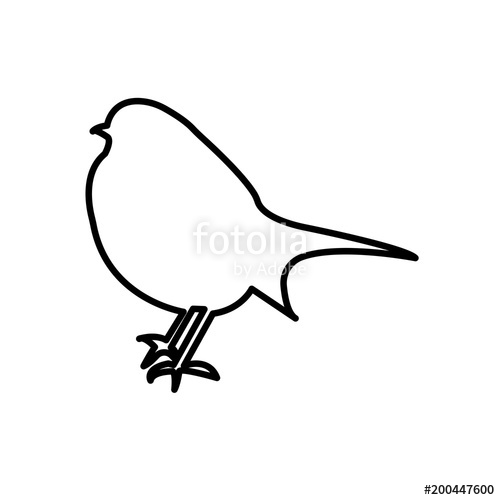 500x500 Robin Outline On White Background Stock Image And Royalty Free - Robin Outline Drawing
