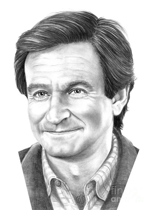 500x681 Robin Williams Pencil Drawings - Robin Williams Drawing