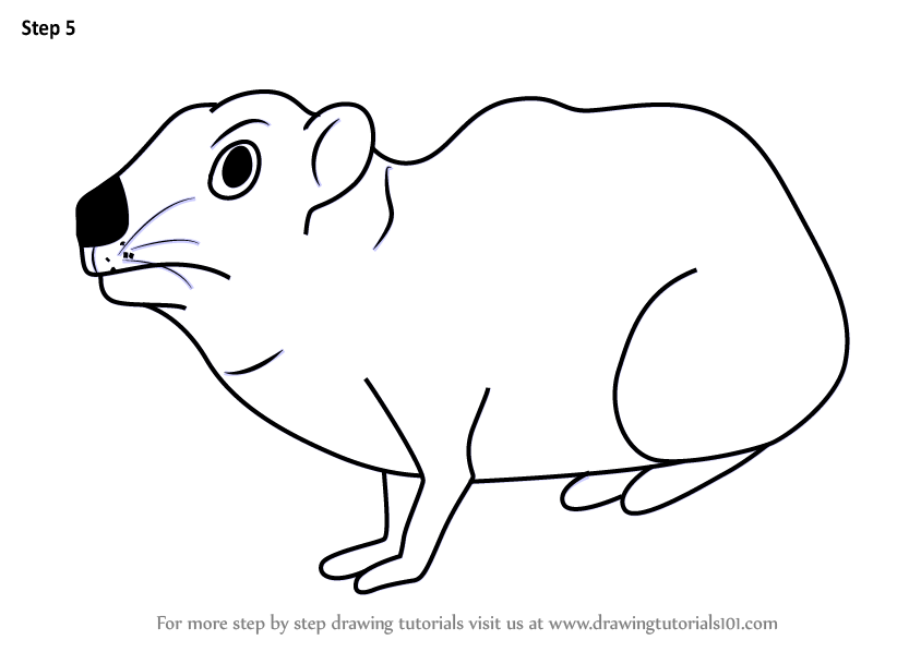 844x598 Learn How To Draw A Cartoon Rock Hyrax - Rock Cartoon Drawing