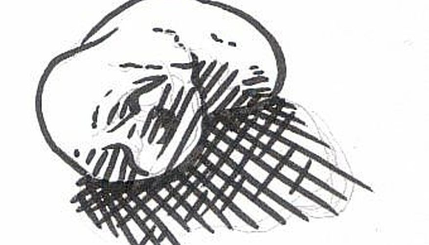 877x500 how to draw rocks our pastimes - Rock Drawing