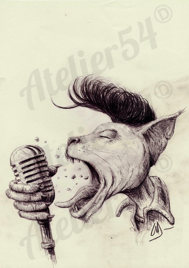 794x1122 drawing of cat rock'n roll singing gift for rocker from etsy - Rock N Roll Drawings