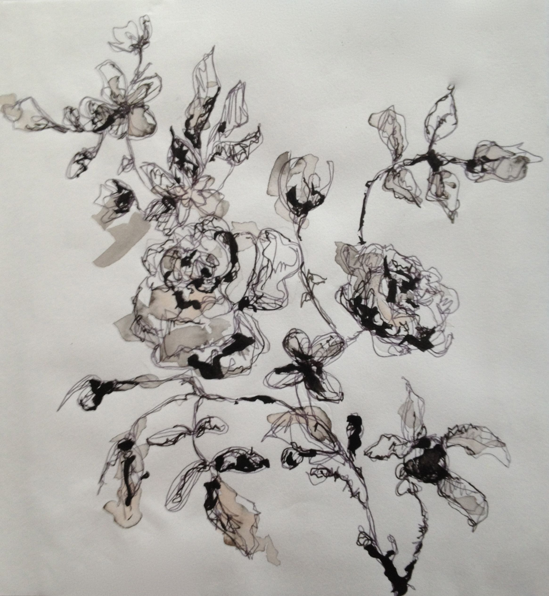 2330x2533 rococo inspired floral illustration - Rococo Drawings