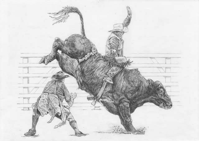 640x455 rodeo four drawings - Rodeo Bull Drawing