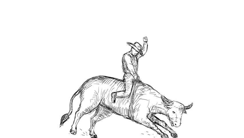 852x480 animation motion graphics showing stock footage video - Rodeo Bull Drawing