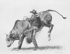 236x181 best bucking hunger images bucking bulls, bull riding, drawing s - Rodeo Bull Drawing