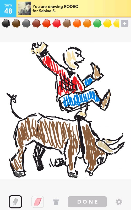 500x800 rodeo drawings - Rodeo Drawings