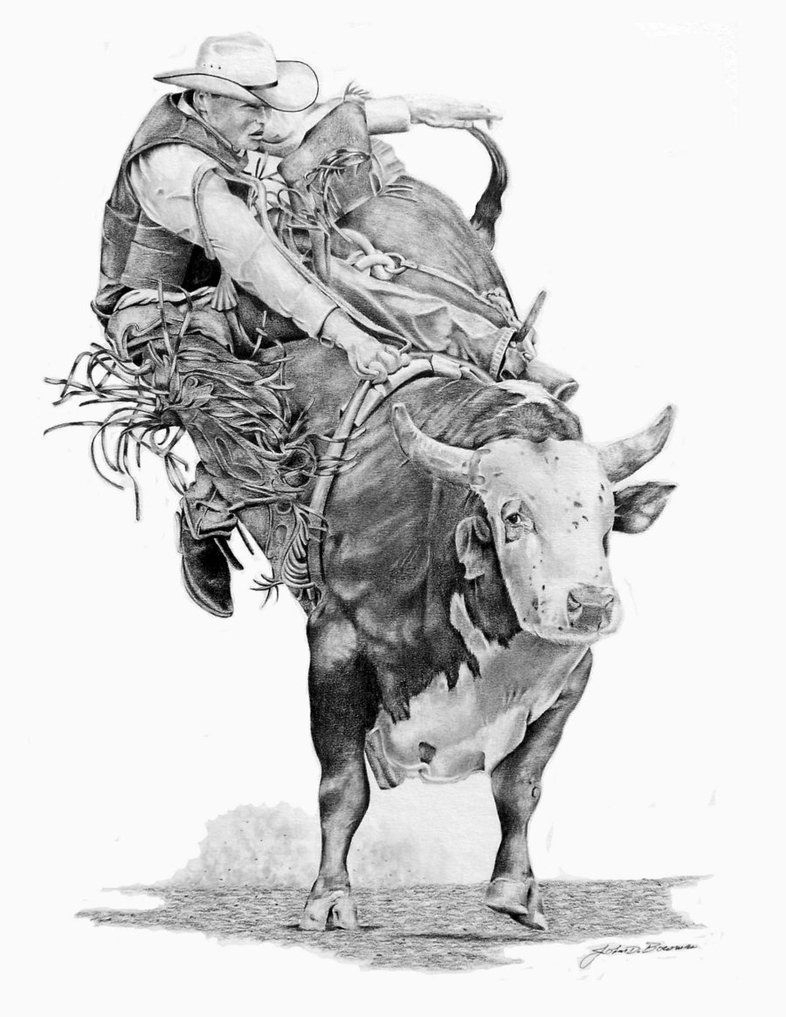 786x1017 rodeo sketch drawing and bull riding drawings bull rider - Rodeo Drawings