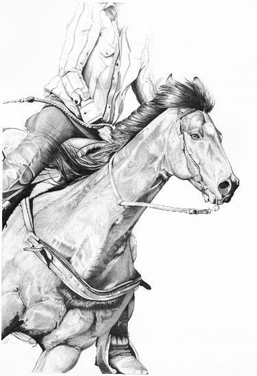 375x547 the barrel racer drawing - Rodeo Drawings