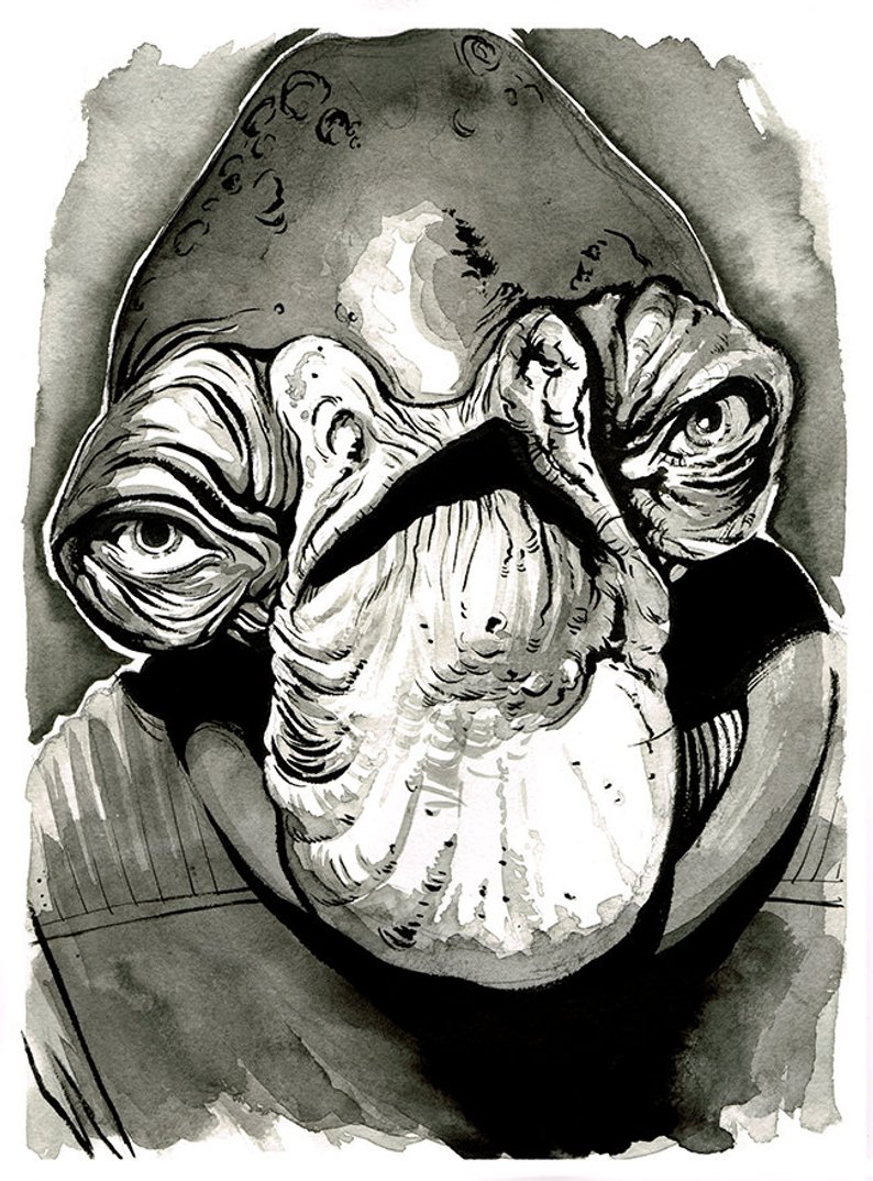 794x1074 Star Wars Rogue One Rebel Admiral Raddus Mon Calamari Etsy - Rogue One Drawing