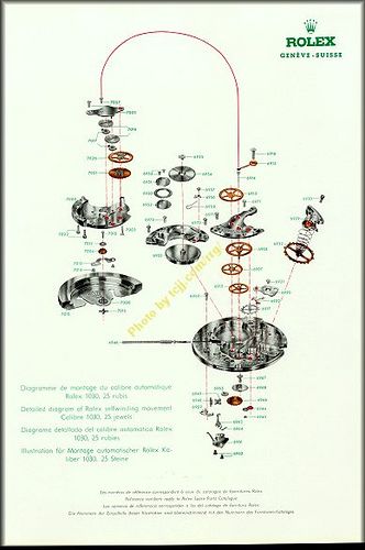 332x500 rolex watch drawings - Rolex Watch Drawing
