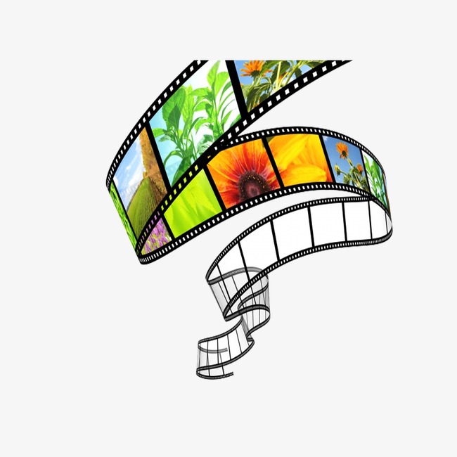 650x650 Film Roll, The Film, Color, Brightfilm Png Image And Clipart - Roll Of Film Drawing