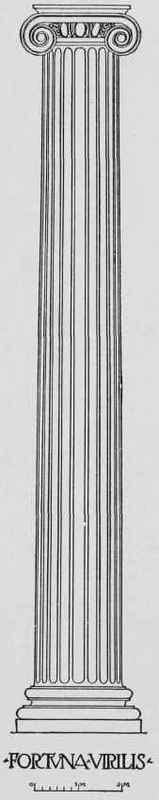 159x800 entasis of the roman column - Roman Columns Drawing