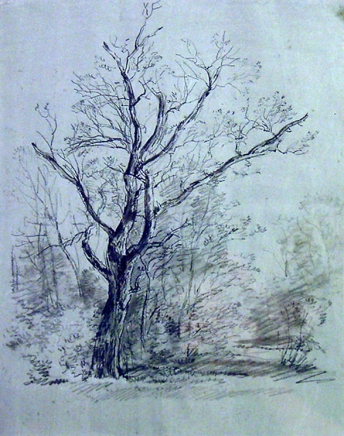 344x436 Thumbnails - Romantic Drawings