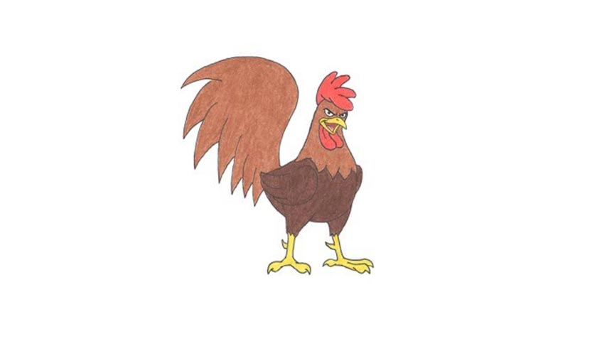 854x480 how to draw a cartoon rooster - Rooster Cartoon Drawing
