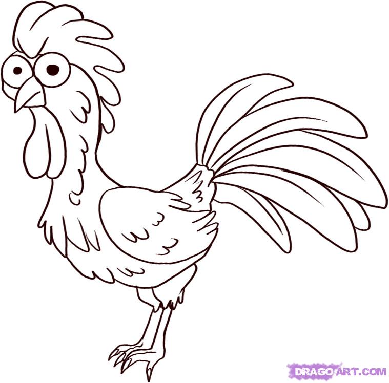 759x748 how to draw a cartoon rooster, step - Rooster Cartoon Drawing