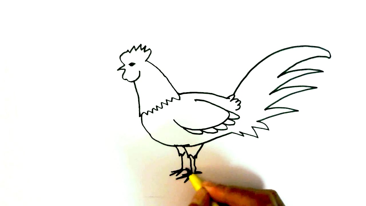 1280x720 how to draw a rooster or chicken - Rooster Chicken Drawing