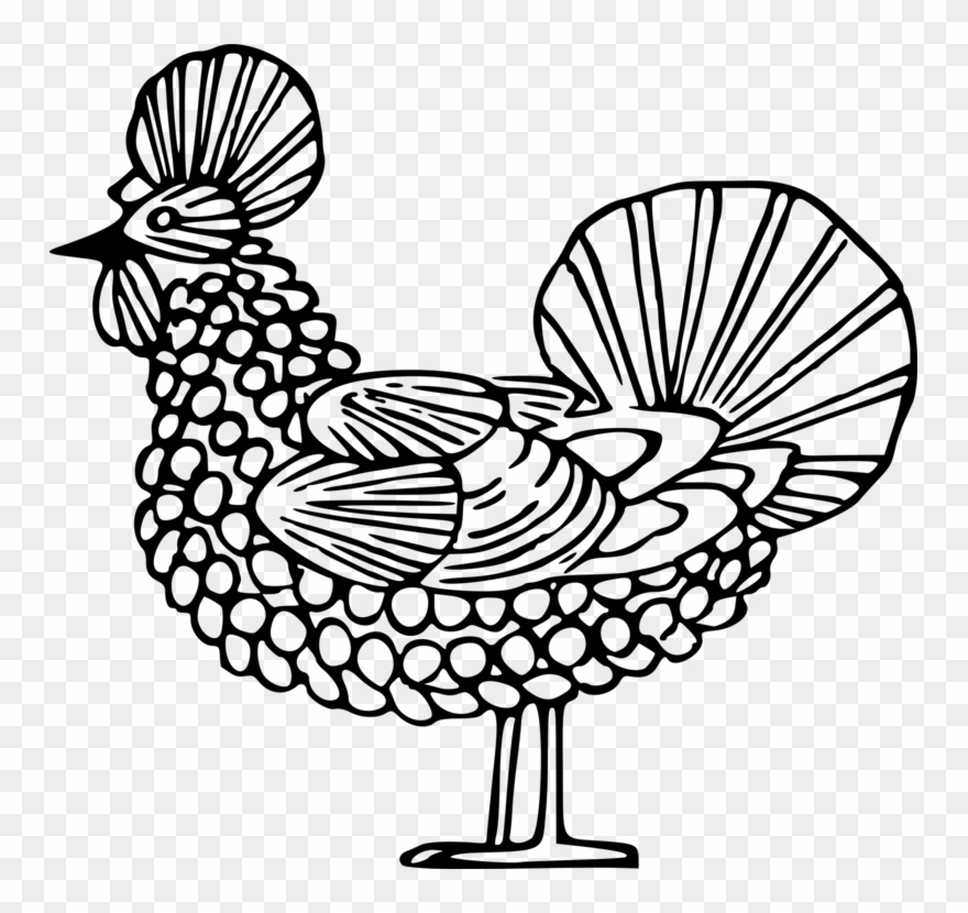 880x830 rooster chicken kifaranga drawing line art - Rooster Chicken Drawing