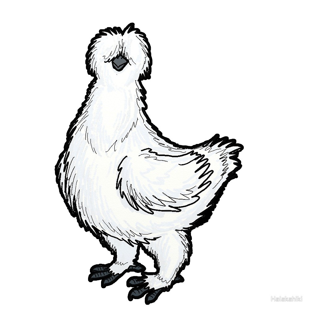 1000x1000 rooster drawing free download - Rooster Chicken Drawing