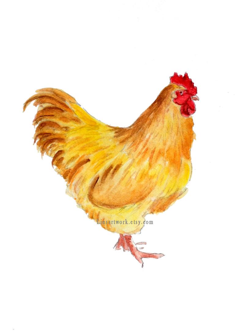 794x1083 buff orpington rooster chicken art chicken prints rooster etsy - Rooster Chicken Drawing