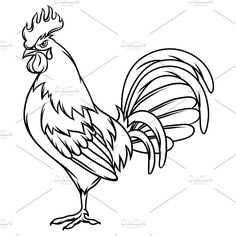 236x236 how to draw a rooster, step roosters drawings, rooster art - Rooster Drawing