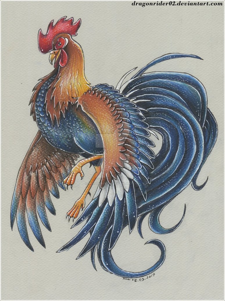 774x1033 Rooster Drawing - Rooster Drawing