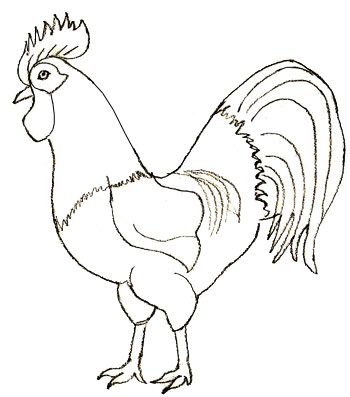 350x397 How To Draw A Rooster - Rooster Drawing Easy