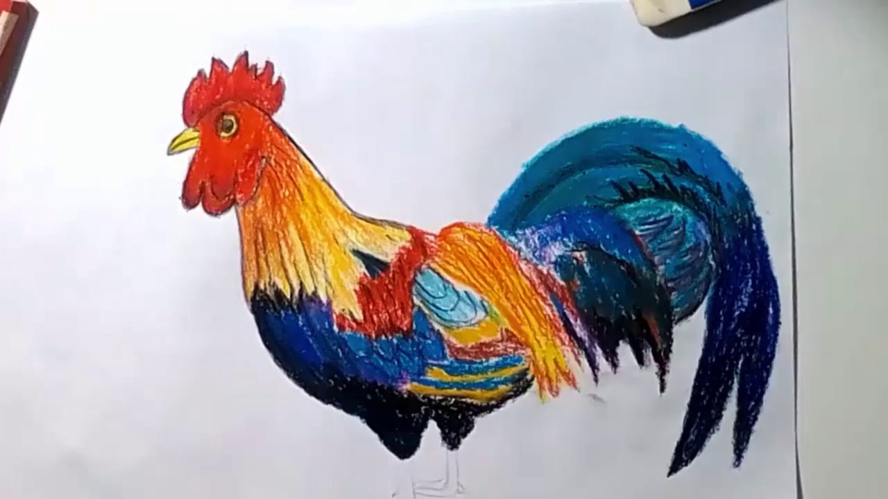 1280x720 How To Draw A Rooster Easy And Step - Rooster Drawing Easy