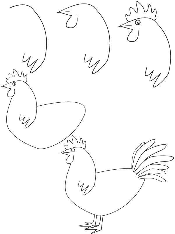 600x800 how to draw a rooster art dibujar, arte - Rooster Drawing Easy