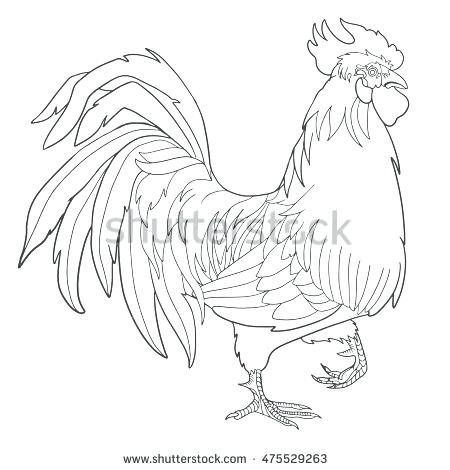 450x470 Gallic Rooster Coloring - Rooster Drawing For Kids