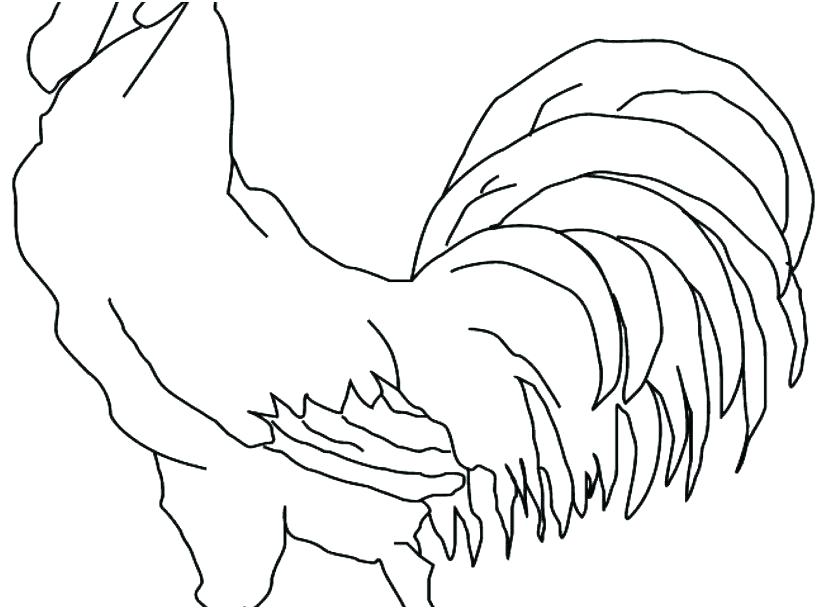 827x609 Coloring Rooster Coloring - Rooster Drawing For Kids