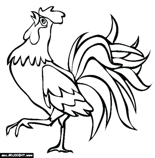 600x612 coloring rooster farm animal coloring pages for kids - Rooster Drawing For Kids