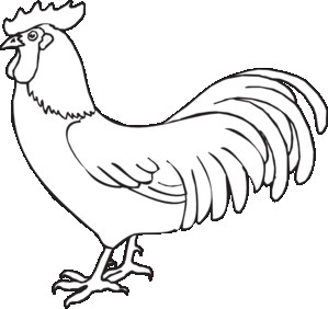 299x282 For Rooster Drawings Outline - Rooster Drawings Images