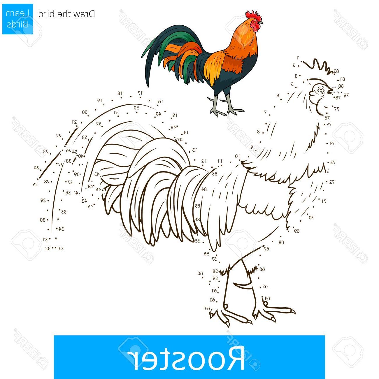 1300x1300 hd rooster drawings vector pictures free vector art, images - Rooster Drawings Images