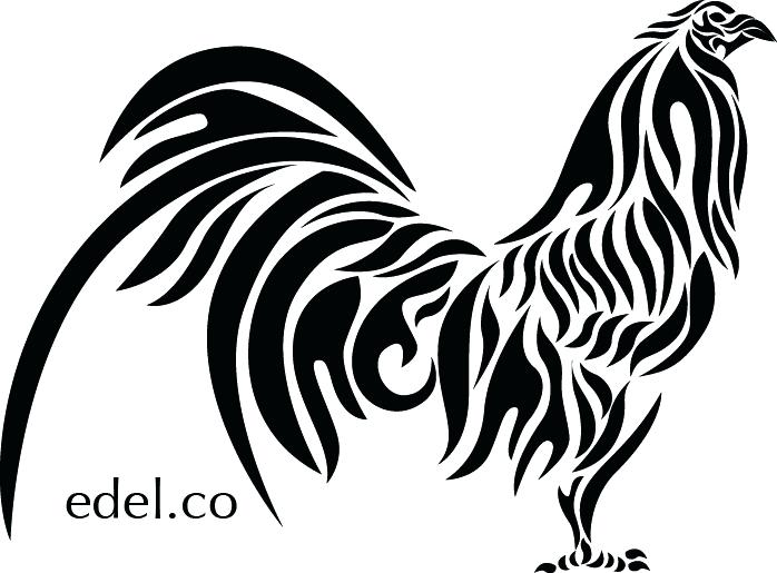 698x515 Rooster Drawing Cool For Free Download - Rooster Drawings Images