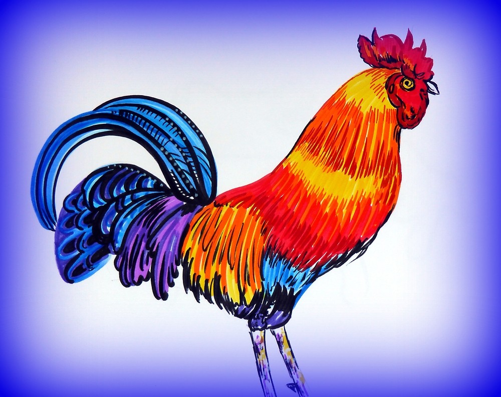 1000x792 rooster drawing, rooster drawings, drawings of roosters - Rooster Drawings Images