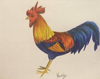 340x270 Rooster Drawing Etsy - Rooster Drawings Images
