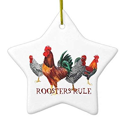 425x425 Arthuryerkes Christmas Hanging Ornament Multi Rooster - Rooster Drawings Images