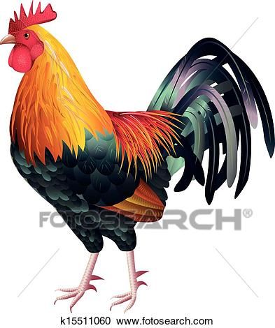 393x470 Colorful And High Detailed Rooster Clipart In Art - Rooster Drawings Images