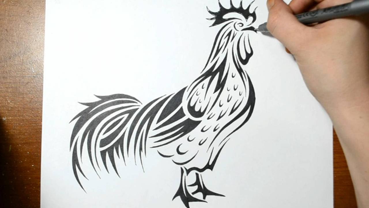 1280x720 How To Draw A Rooster - Rooster Fight Drawing