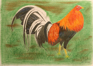 300x212 rooster fight art fine art america - Rooster Fight Drawing